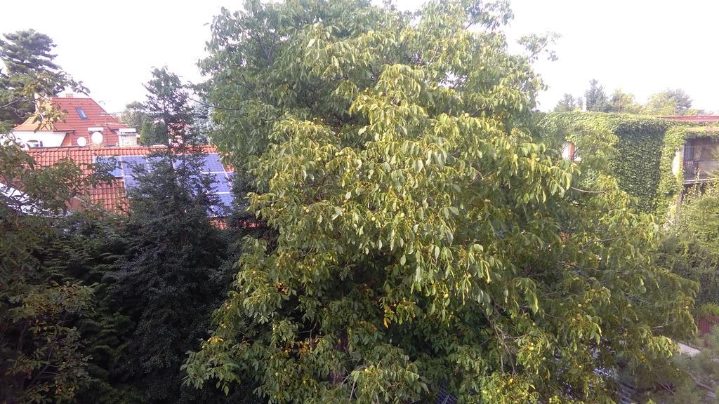Apartment Suchdol Praga